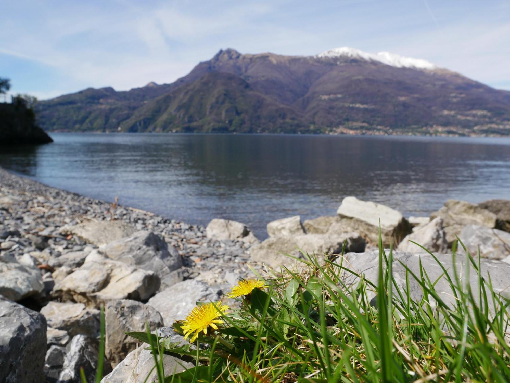 La Riva Appartamento Perledo Exteriör bild